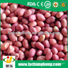 Dongbei origin best quality red skin peanut for sale